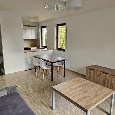 MIESZKANIE na WYNAJEM